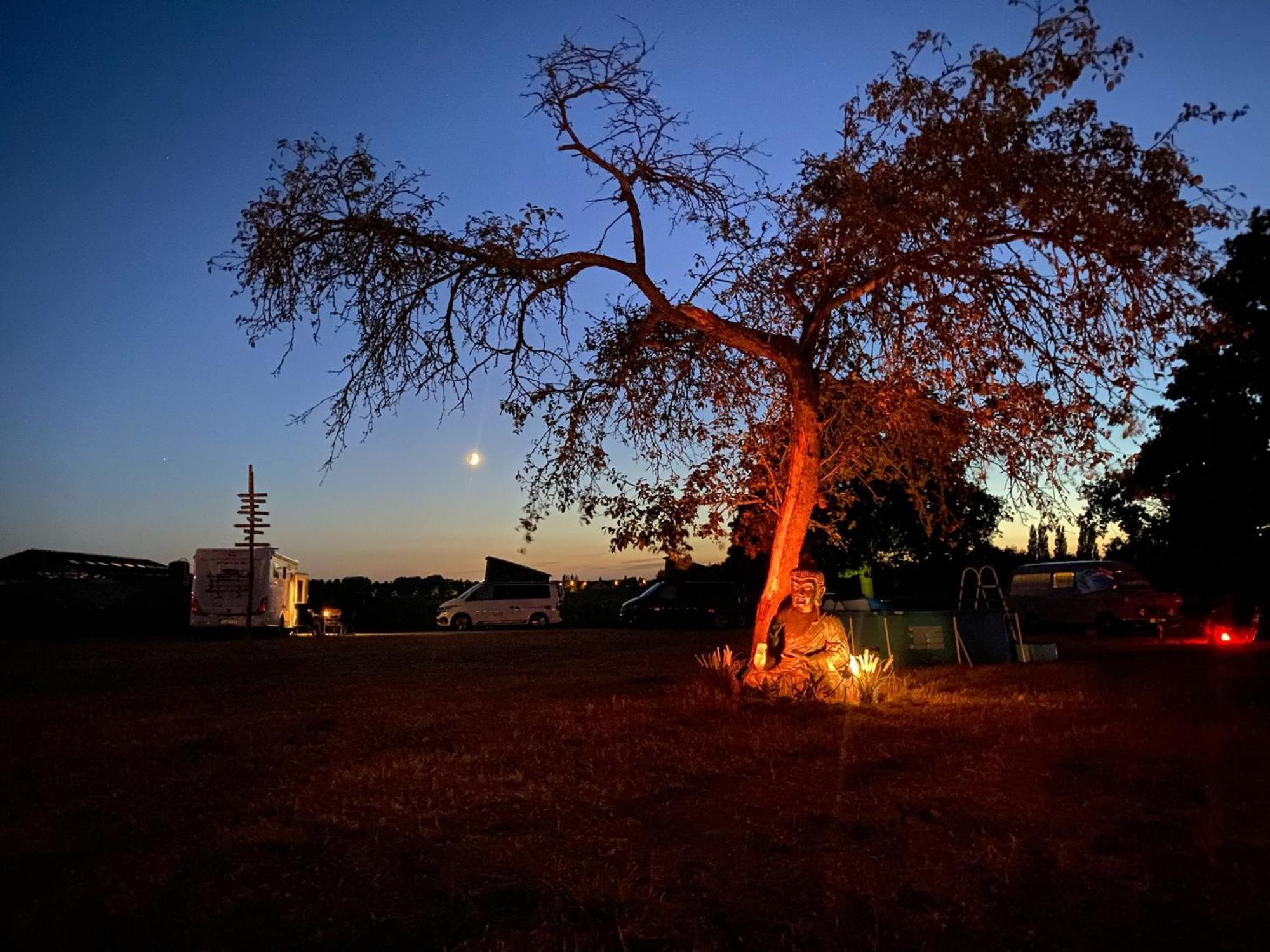 Camp Mangoeste 지델젬 외부 사진